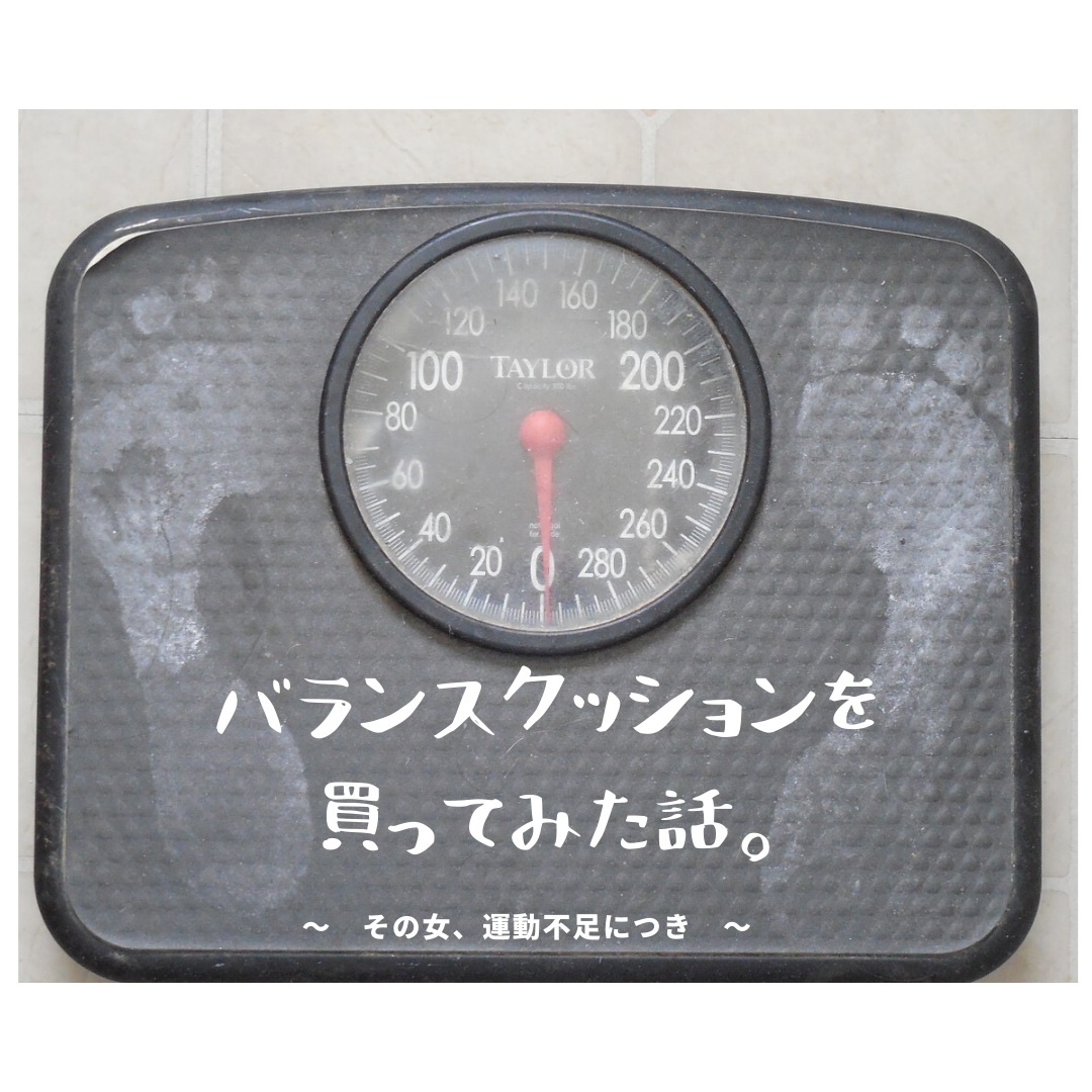 タニタさんのバランスクッションを買ったお話 こまど屋雑記帳 タニタさんのバランスクッションを買ったお話 こまど屋雑記帳
